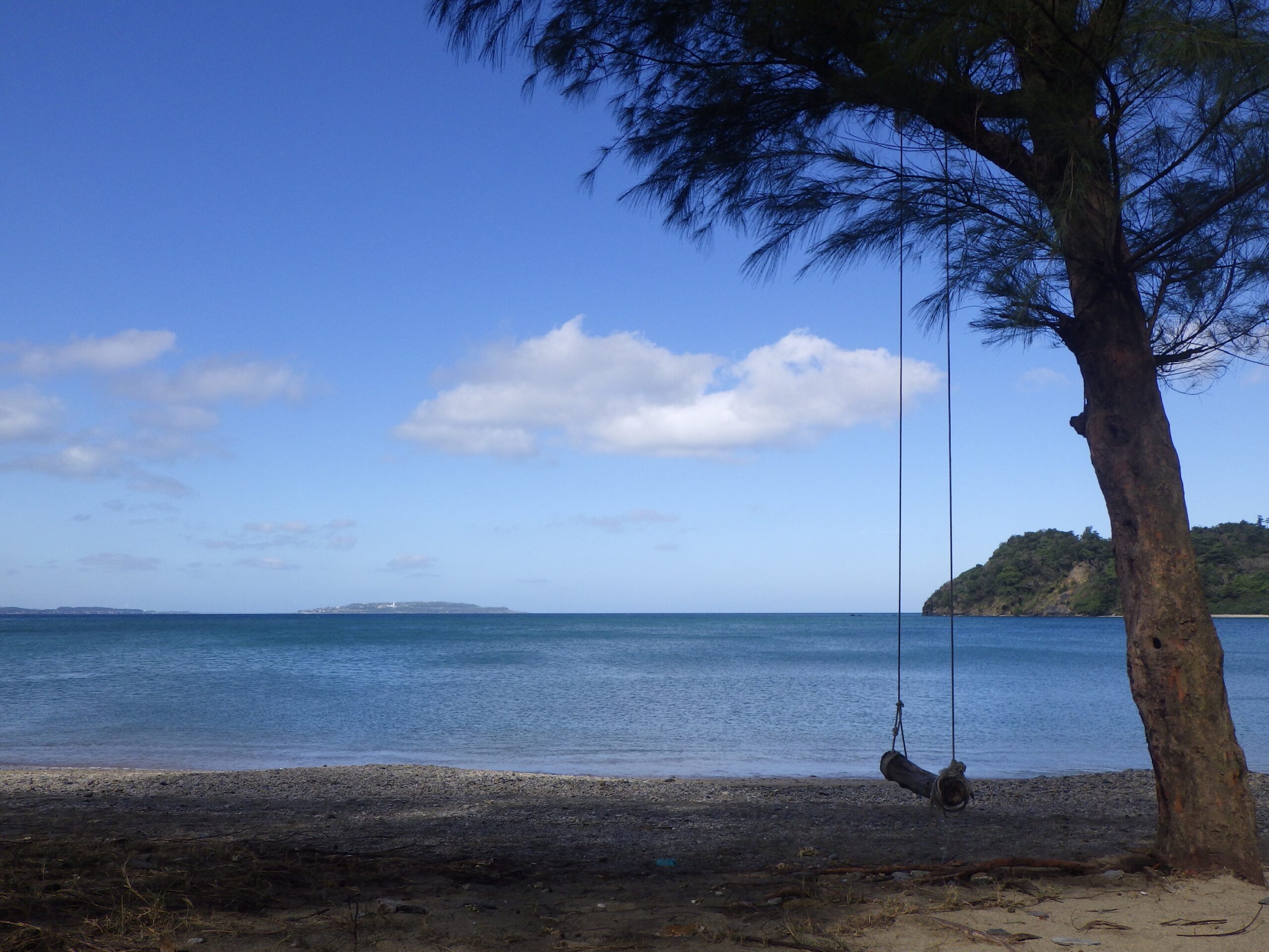 swing on the beach