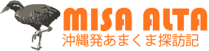 Blog Logo B